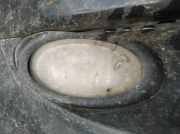 Nebelscheinwerfer - Vorne Rechts Honda FR-V, 2004.08 - 2009.12 Gebraucht,