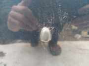 Waschwasserdüse Scheibenreinigung Mazda 323F, 1998.09 - 2004.05 Gebraucht,