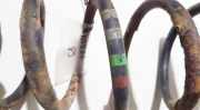 Fahrwerksfeder Hinterachse Ford Focus, 2004.11 - 2008.06 Gebraucht,