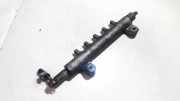 Kraftstoffverteiler Nissan Primera, P12 2002.01 - 2008.12 0928,