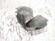 Radhausschale - Vorne Linke Ford C-MAX, 2003.01 - 2007.06 Gebraucht ,