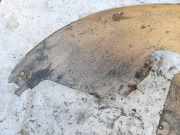 Radhausschale - Hinten Linke Citroen C4, I 2004.11 - 2008.06 9646881280,