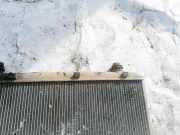 Wasserk?hler Toyota Avensis, I 2000.10 - 2003.02 facelift Gebraucht,