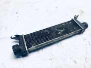 Ladeluftkühler Mercedes-Benz A-CLASS, W168, 1997.07 - 2001.06 a1685000000,01009990000