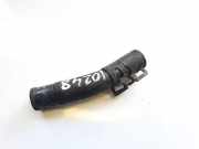 K?hlerschlauch Hyundai Trajet, 2000.03 - 2008.07 Gebraucht,