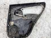 Türverkleidung - Hinten Linke Toyota RAV-4, III 2005.11 - 2012.12 67788X1b02, 67788-X1b02