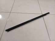 Zierleiste Leiste - Vorne Linke Volkswagen Passat, B6 2005.08 - 2010.11 Gebraucht , BMP