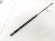 Gasfeder für Motorhaube Audi A3, 8L 1996.09 - 2000.10 601113423,