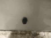 Waschwasserdüse Scheibenreinigung Toyota Avensis, II 2003.04 - 2006.03 Gebraucht,