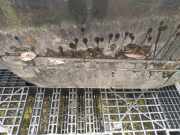 Zierleiste Tür Zier-Schutzleiste - Hinten Rechts Rover 400, 1995.05 - 2000.03 Gebraucht,