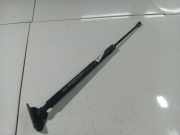 Gasdruckfeder Kofferraum Chevrolet Captiva, 2006.01 - 2011.06 96830123,96 830 123