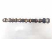 Nockenwelle Toyota Corolla, 2001.11 - 2004.02 13512,13512