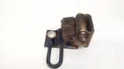 Türscharnier Hinten Volkswagen Golf, IV 1997.08 - 2003.10 Gebraucht, AXR