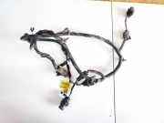 Kabelbaum Einparkhilfe Peugeot 307, 2000.08 - 2005.06 0612061213,