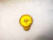 Verschluss Waschwasserbehälter Nissan Almera, N16 2003.01 - 2006.12 facelift Gebraucht,