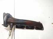 Abgaskrümmer Audi A6, C6 2005.01 - 2008.10 06e253033e,