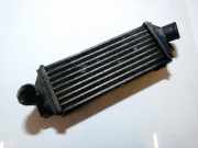 Ladeluftkühler Opel Astra, F 1991.09 - 1998.09 Gebraucht,