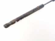 Gasdruckfeder Kofferraum Audi A4, B7 2004.11 - 2008.06 8e5827552j,