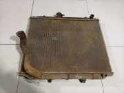 Wasserkühler Nissan Terrano, II 1993.02 - 2006.12 Gebraucht,