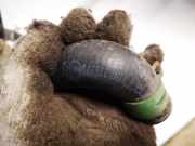 Kühlerschlauch Volkswagen Golf, III 1993.07 - 1999.04 1h0819373, ABS