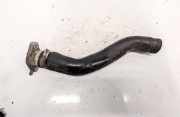 Kühlerschlauch Nissan Almera Tino 2000.08 - 2003.09 Gebraucht,