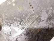 Unterfahrschutz Ford Focus, 2004.11 - 2008.06 4x43f16a262bb,