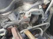 Einspritzdüse Nissan Micra, K11C 1997.03 - 2003.02 facelift Gebraucht,