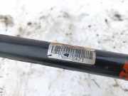 Stabilisator Stabi Hinten Hinterachse Renault Scenic, II 2006.06 - 2009.02 facelift P8072471,