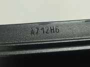 Zierleiste T?r Zier-Schutzleiste - Hinten Linke Fiat Croma 2005 - 2011 Gebraucht,