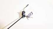 Sensor Innentemperatur Volkswagen Polo, IV 2005.04 - 2009.11 facelift 6q0820539,6q0.820.539 BME