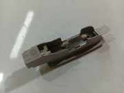 Innenraumleuchte Renault Laguna, II 2001.03 - 2006.05 8200003035,8200003035