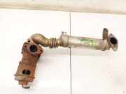 Abgaskühler AGR-Kühler Honda CR-V, III 2006.06 - 2010.06 18720RMAE01,18720RMAE01 Y114311002