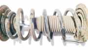 Fahrwerksfeder vorne Chevrolet Captiva, 2006.01 - 2011.06 Gebraucht,