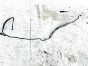 Servoleitung Leitung Servo Servoschlauch Schlauch Opel Signum, 2003.05 - 2008.06 Gebraucht,