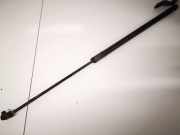 Gasdruckfeder Kofferraum Ford C-MAX, 2011.01 - 2019 am51r406a10ad,am51-r406a10-ad