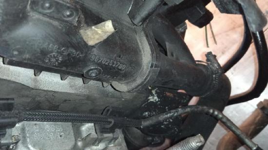 Thermostat Peugeot 3008, I 2008.01 - 2016.06 9670253780, Bild Thermostat Peugeot 3008, I 2008.01 - 2016.06 9670253780,