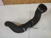 Intercooler Schlauch Renault Vel Satis, 2002.06 - 2009.12 Gebraucht,
