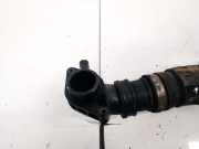 Schlauch für Luftversorgung Renault Laguna, I 1994.01 - 2001.03 7700859373,