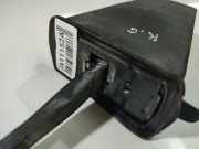 Türfangband Türbremse Türstopper - Hinten Linke BMW X5, E70 2006.10 - 2010 Gebraucht,