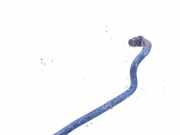 Stabilisator Vorne Nissan Primera, P12 2002.01 - 2008.12 Gebraucht,