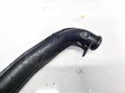 Intercooler Schlauch Citroen C5, II 2008.02 - 2011.01 Gebraucht,