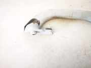 Haltegriff Haltegriff Verdeckgriff - Hinten Linke Audi A4, B5 1994.11 - 1999.09 8d0857607a,