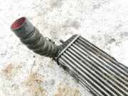 Ladeluftkühler Volkswagen Phaeton, 2002.04 - 2006 Gebraucht, BMK