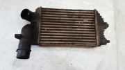 Ladeluftkühler Citroen Jumper, I 2002.04 - 2006.06 facelift 1319508,