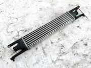 Ladeluftkühler Fiat Punto, 2005.10 - 2012.03 866452100, 866452000