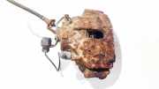 Bremssattel - Vorne Linke Audi 100, C4 1991.01 - 1994.06 Gebraucht,