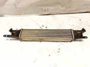Ladeluftkühler Fiat Punto, 2005.10 - 2012.03 866450200,