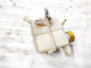 Ausgleichsbehälter Chevrolet Captiva, 2006.01 - 2011.06 Gebraucht ,