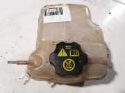 Ausgleichsbehälter Chevrolet Orlando, I 2011.01 - 2018.06 13256823,13465094