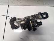 Abgaskühler AGR-Kühler Renault Kangoo, 2003.05 - 2007.06 8200545260,